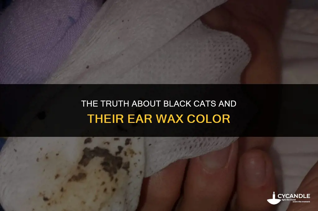 do black cats have black ear wax