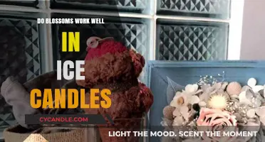 Blossoms in Ice Candles: Creative Decor or Melting Disaster?