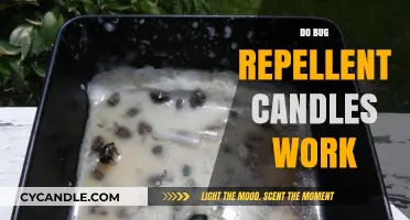 Do Bug Repellent Candles Work? Unveiling the Truth Behind the Buzz
