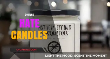 Bugs and Candles: A Natural Repellent?