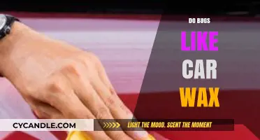 The Surprising Truth: Do Bugs Really Like Car Wax?