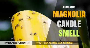 Magnolia Candle Scents: Do Bugs Approve?