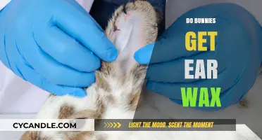 Do Bunnies Get Ear Wax? A Comprehensive Guide to Rabbit Ear Health