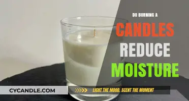 Can Burning Candles Effectively Reduce Moisture in Your Home?