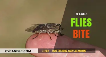 Candle Flies: Do They Bite?