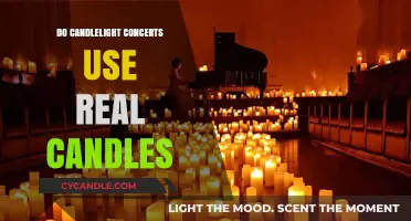 Candlelight Concerts: Real Flames or Electric Glow?
