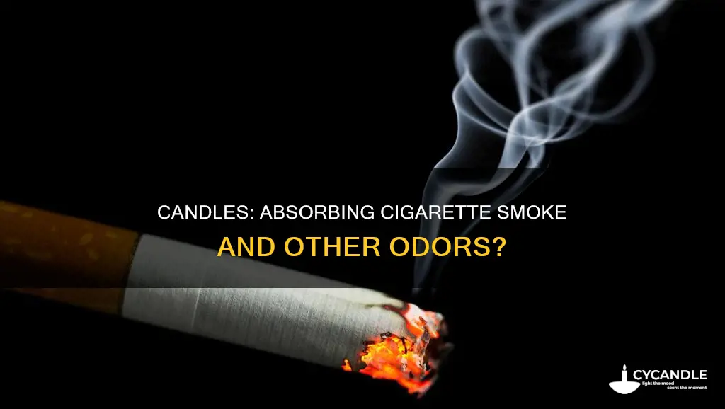 do candles absorb cigarette smoke