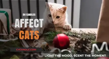 Candles and Cats: A Safe Combination?