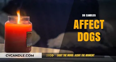 Candles and Dogs: What You Need to Know