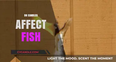 Candles and Fish: A Safe Combination?