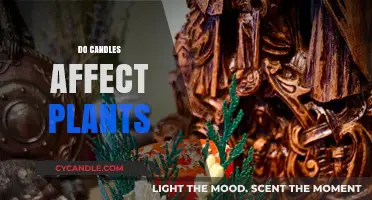 Candles and Plants: A Healthy Mix?