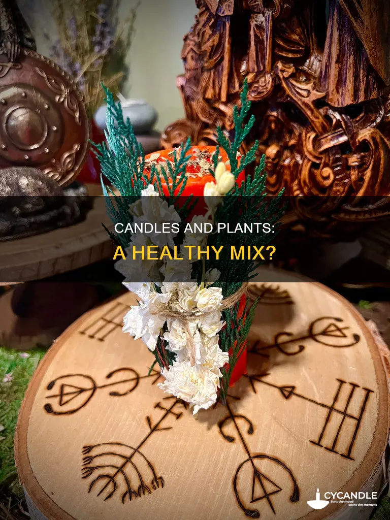 do candles affect plants