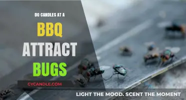 Summer BBQs: Do Candles Attract Pesky Bugs?