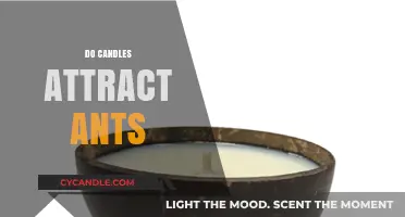 Ants and Candles: An Unlikely Attraction