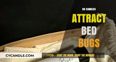 Can Burning Candles Repel Bed Bugs?