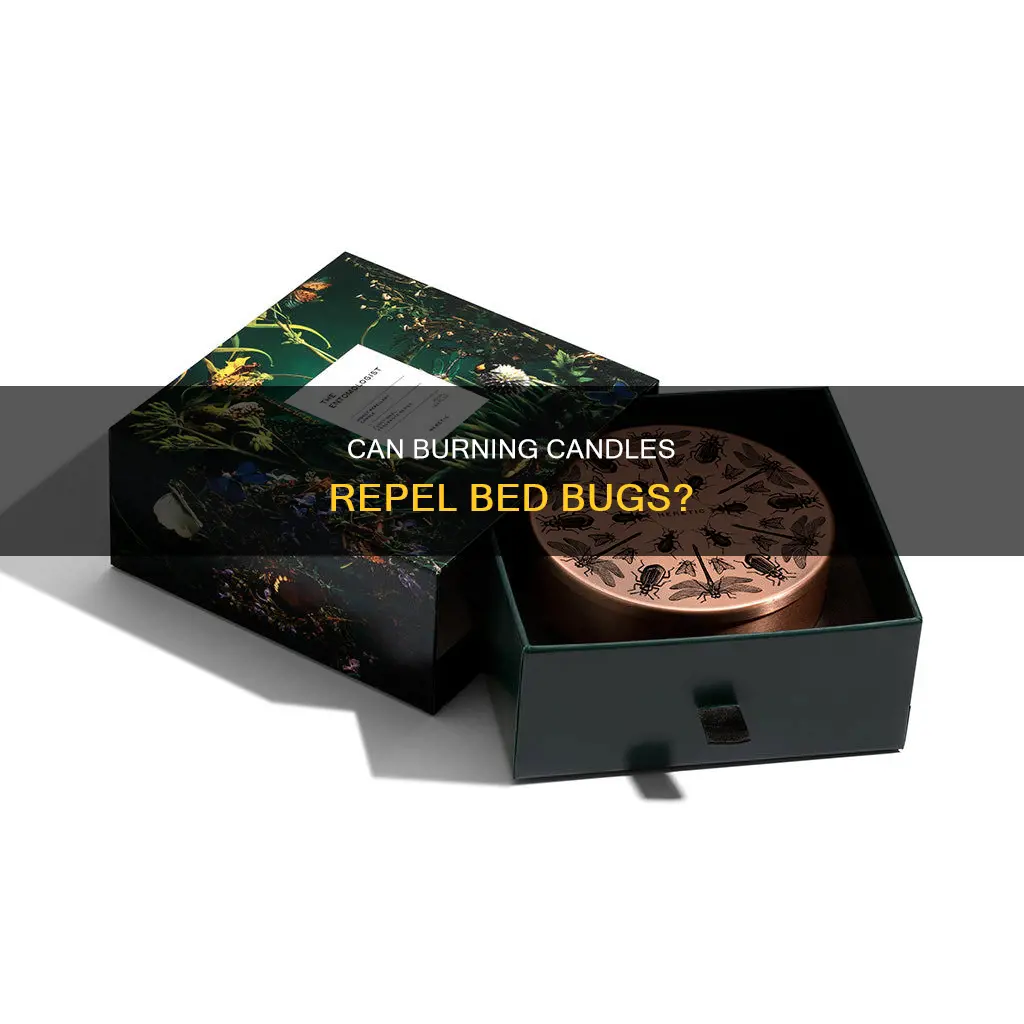 do candles attract bed bugs