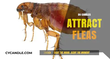 How Candles Can Repel and Attract Fleas