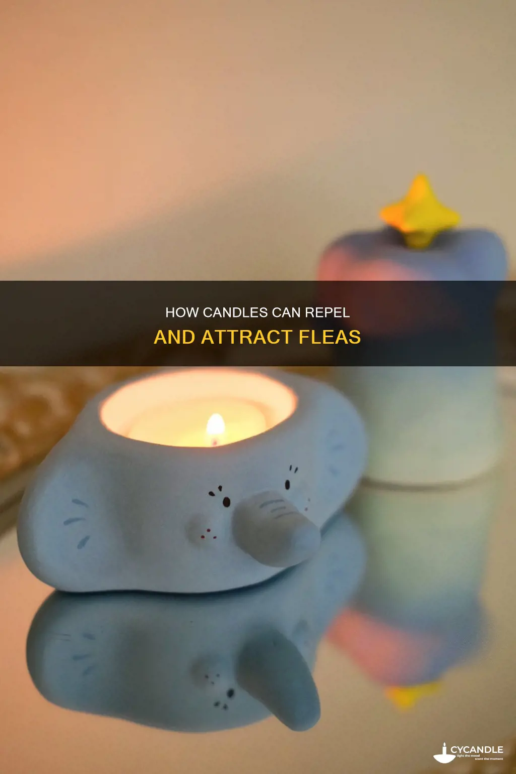 do candles attract fleas