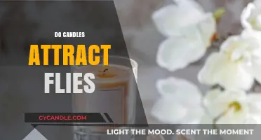 Do Candles Attract Flies? The Surprising Truth