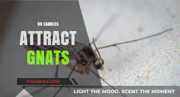 How Candles Attract and Repel Gnats