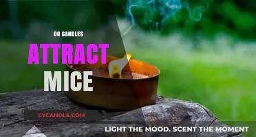 How Candles Attract Mice: The Surprising Truth