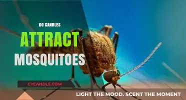 Do Candles Keep Mosquitoes Away?