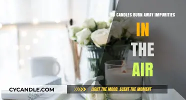 Candles and Air Quality: Do They Really Purify or Just Smell Good?