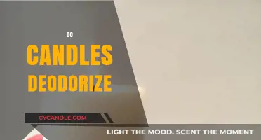 Candles: The Natural Air Deodorizer?