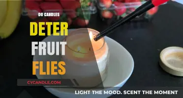 Candle Scents: A Fruit Fly Deterrent?