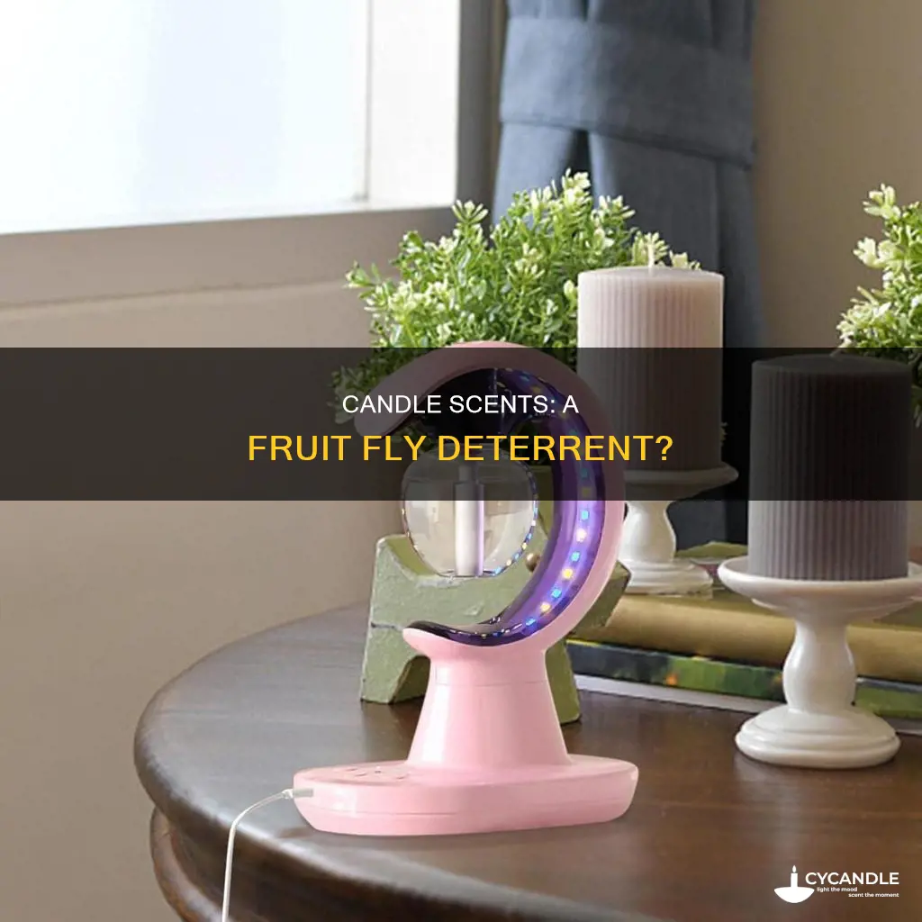 do candles deter fruit flies