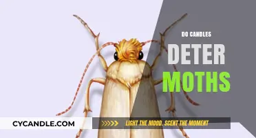 Candles and Moths: Do They Really Work?