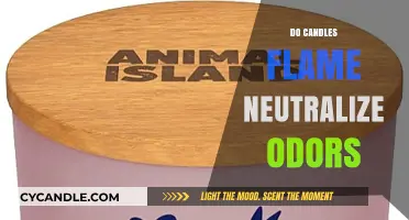 Candle Science: Do Candles Neutralize Odors?