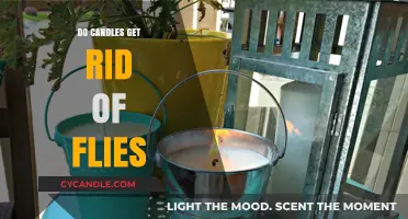 Candles vs. Flies: Do They Really Keep Pesky Insects Away?