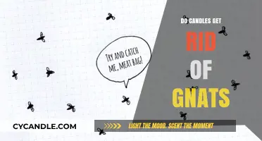 Candles vs. Gnats: Effective Solution or Just a Myth?