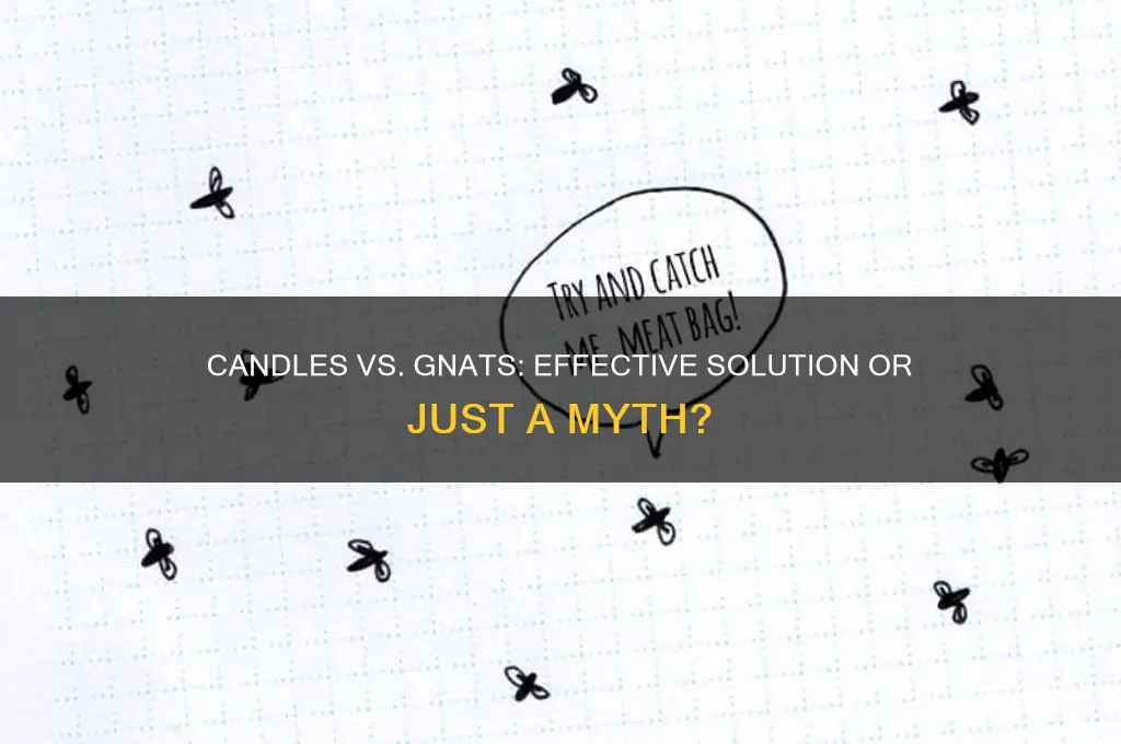 do candles get rid of gnats