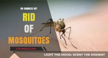 Candles vs. Mosquitoes: Do They Really Keep Bugs at Bay?