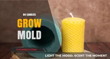 Candles and Mold: What's the Real Deal?