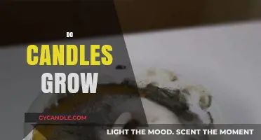 The Mystery of Wax: Do Candles Grow?