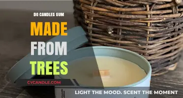 The Natural Wonder: Tree-Based Candles and Gums