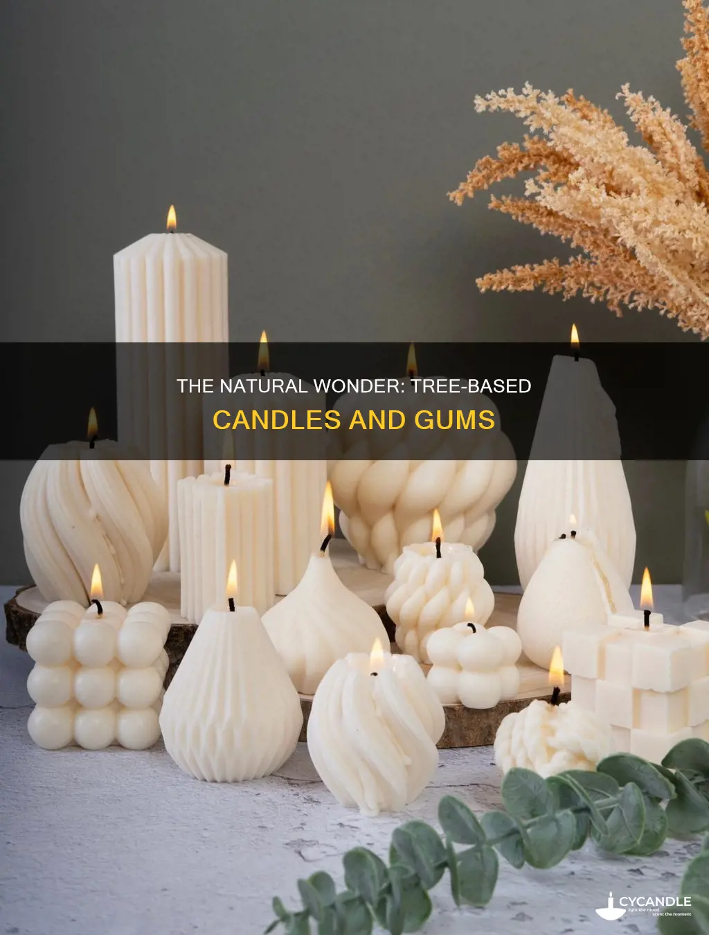 do candles gum made from trees