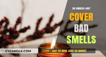 Candles: Cover-up or Odor Eliminator?