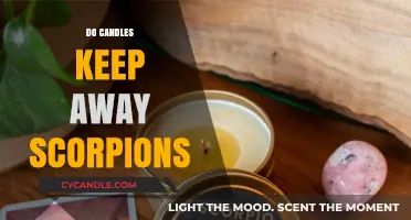 How to Keep Scorpions Away With Candles