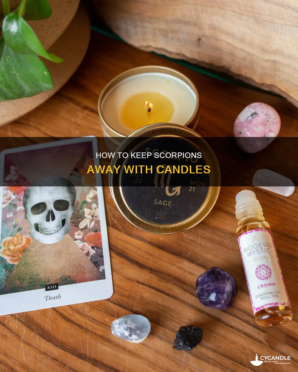 do candles keep away scorpions