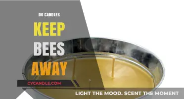 Candles and Bees: Do They Mix?