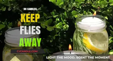 Natural Fly Repellent: Do Candles Keep Flies Away?