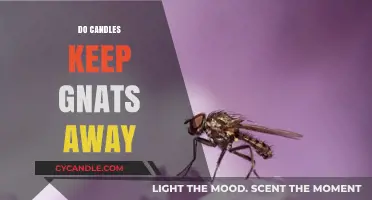 Natural Gnat Repellents: Do Candles Work?