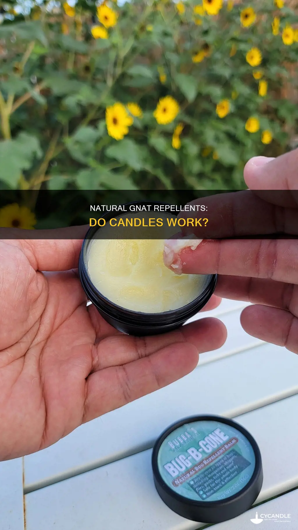 do candles keep gnats away