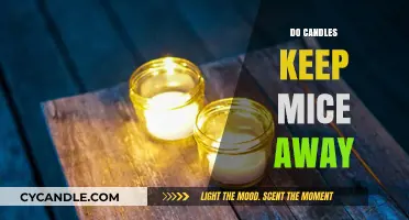 Effective Mouse Repellent: Scented Candles to the Rescue