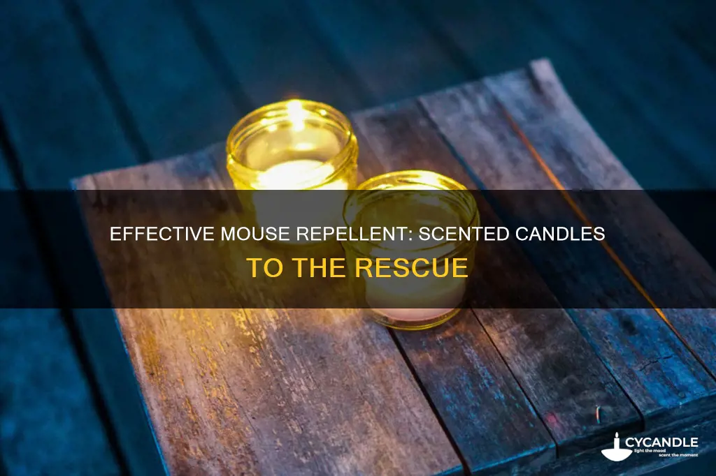 do candles keep mice away