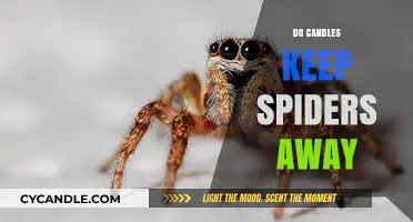 Natural Spider Repellents: Do Candles Work?